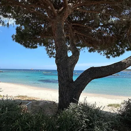 Luxury With Sea And Mountain View In Porto Vecchio * Zonza